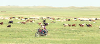 Ranchers ride